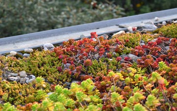 the cost of Honicknowle green roof installation