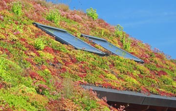 Honicknowle living roof systems